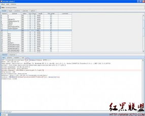 Burp Suite工具使用之二 Intruder模塊在網絡與信息安全軟件開發(fā)中的應用